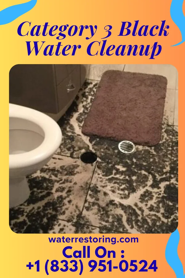 Category 3 Black Water Cleanup in Monson Center, MA