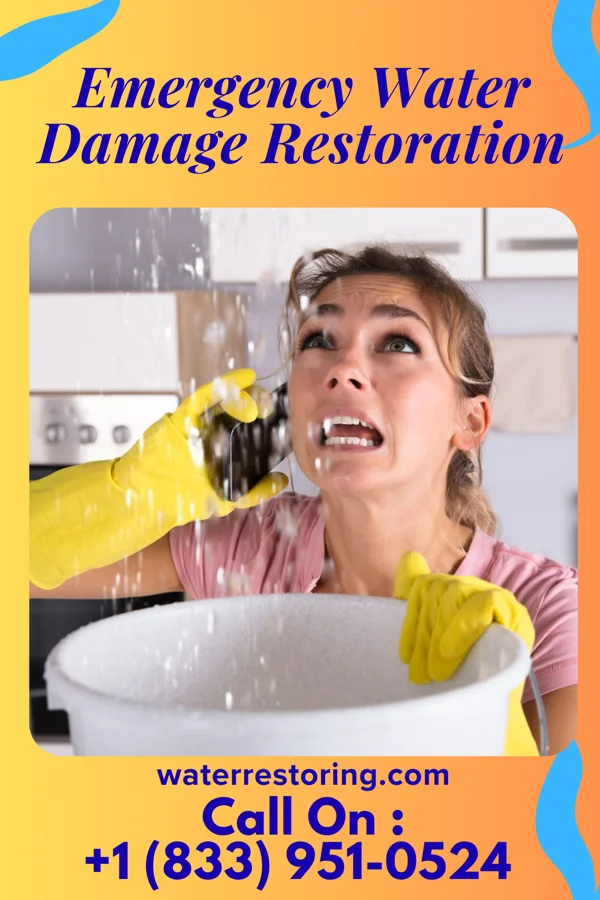 Emergency Water Damage Restoration in Monson Center, MA