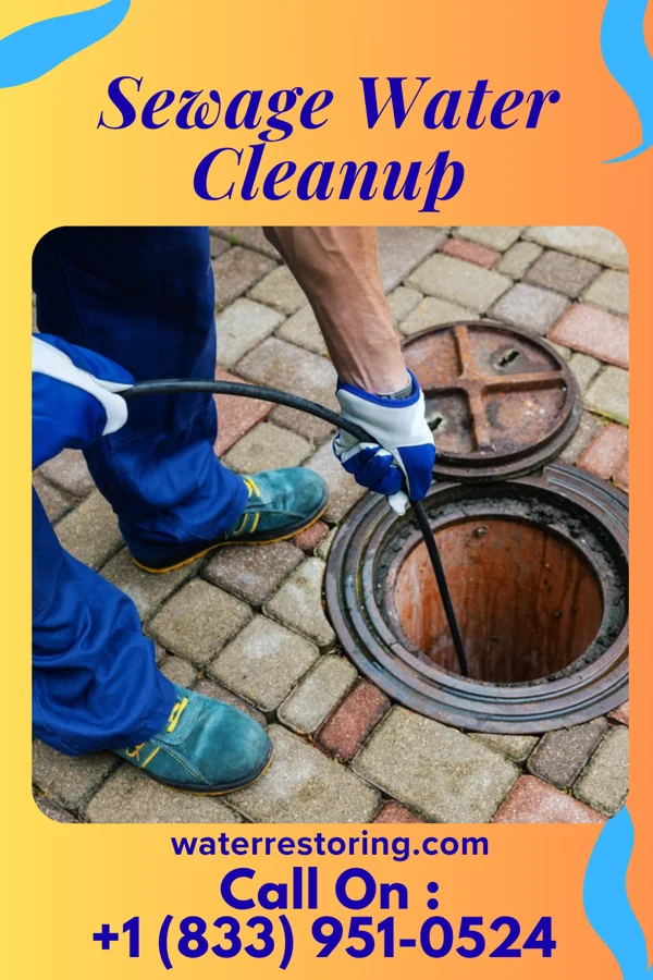 Sewage Water Cleanup in Monson Center, MA